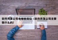 软件开发公司有哪些岗位（软件开发公司主要做什么的）