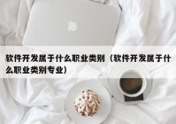 软件开发属于什么职业类别（软件开发属于什么职业类别专业）