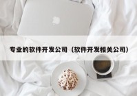 专业的软件开发公司（软件开发相关公司）