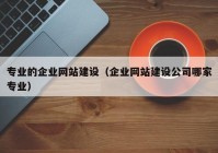 专业的企业网站建设（企业网站建设公司哪家专业）