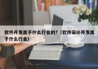 软件开发属于什么行业的?（软件设计开发属于什么行业）