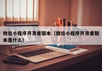 微信小程序开发者版本（微信小程序开发者版本是什么）