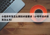 小程序开发怎么跟技术提要求（小程序技术研发怎么写）