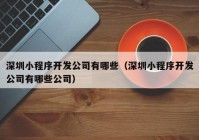 深圳小程序开发公司有哪些（深圳小程序开发公司有哪些公司）