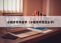 小程序开发自学（小程序开发怎么学）