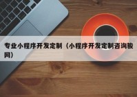 专业小程序开发定制（小程序开发定制咨询骏网）