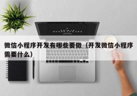 微信小程序开发有哪些要做（开发微信小程序需要什么）