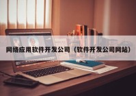 网络应用软件开发公司（软件开发公司网站）