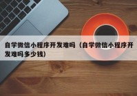 自学微信小程序开发难吗（自学微信小程序开发难吗多少钱）