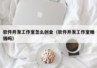 软件开发工作室怎么创业（软件开发工作室赚钱吗）