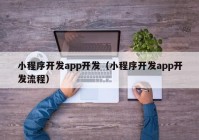 小程序开发app开发（小程序开发app开发流程）