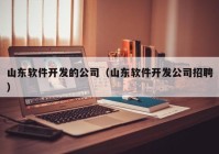 山东软件开发的公司（山东软件开发公司招聘）