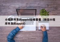 小程序开发的appid在哪里看（微信小程序开发的appid）