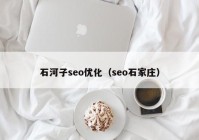 石河子seo优化（seo石家庄）