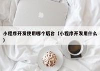 小程序开发使用哪个后台（小程序开发用什么）