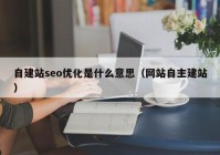 自建站seo优化是什么意思（网站自主建站）