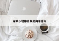 深圳小程序开发的简单介绍