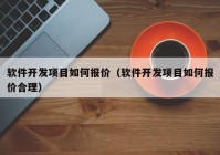 软件开发项目如何报价（软件开发项目如何报价合理）