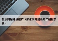 彭水网站建设推广（彭水网站建设推广招标公告）