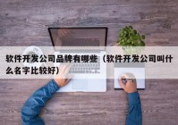 软件开发公司品牌有哪些（软件开发公司叫什么名字比较好）